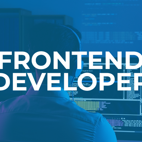 Front-End Web Development - LIVE Training
